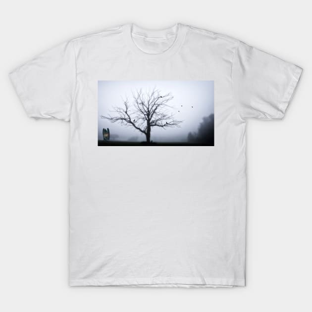 An Angel On The Hill T-Shirt by JimDeFazioPhotography